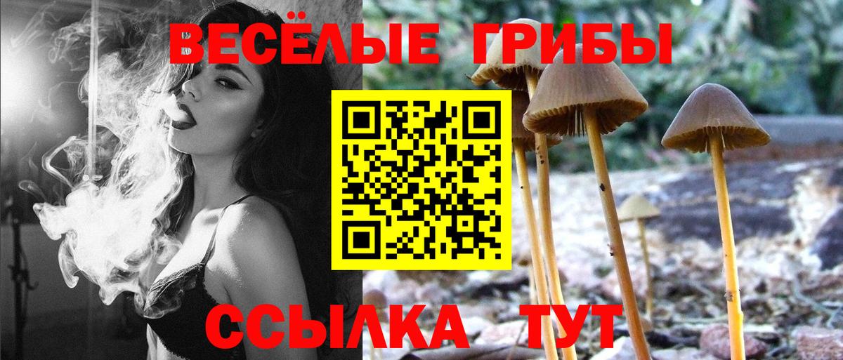 Галлюциногенные грибы Magic Shrooms  Вход с VPN  Псков 